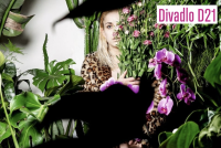 Pěna dní_Boris Vian_DKO_knihovna Jihlava